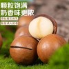 湖北襄阳保康县南河源夏威夷果250g/罐 商品缩略图1