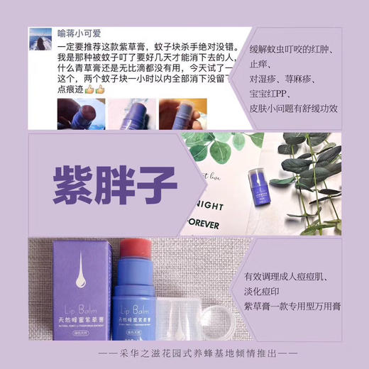 采华之滋天然蜂蜜紫草膏（小紫胖）4.5g 商品图6