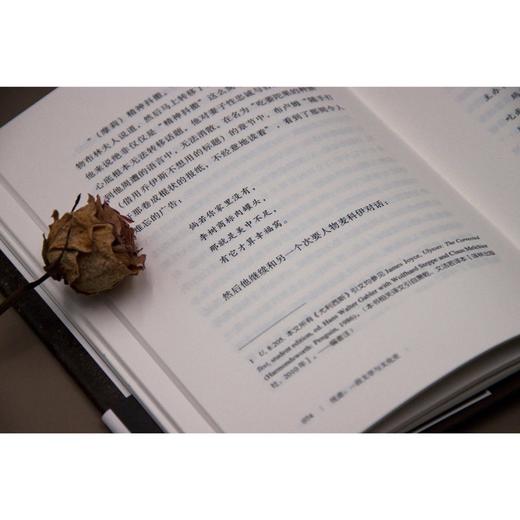 新民说·忧虑：一段文学与文化史（忧虑者的自查手册，“时代疾病”的文化指南） 商品图6