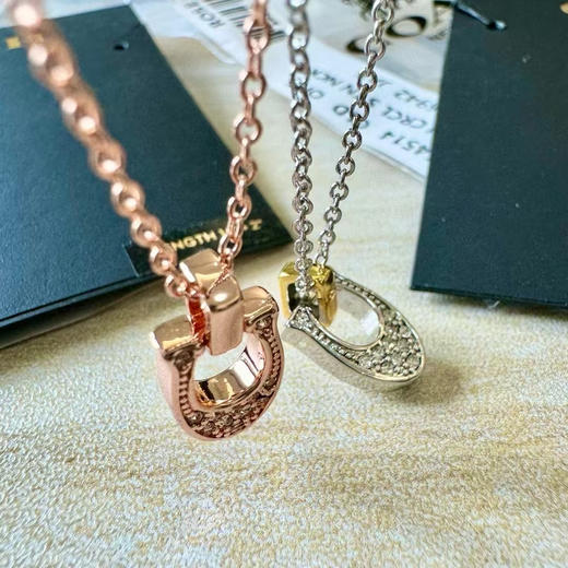 外贸原单 Coach/蔻驰最新款马蹄项链超帅 轻奢不撞款
颜色：玫瑰金 银色
简易包装 商品图7