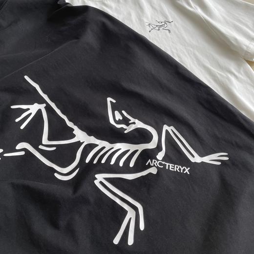 点此购买 始祖鸟夏季经典大鸟印花男女款短袖T恤 cp 316770 商品图6