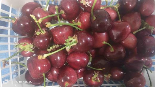 丞起萨米脱特级果大樱桃 商品图0