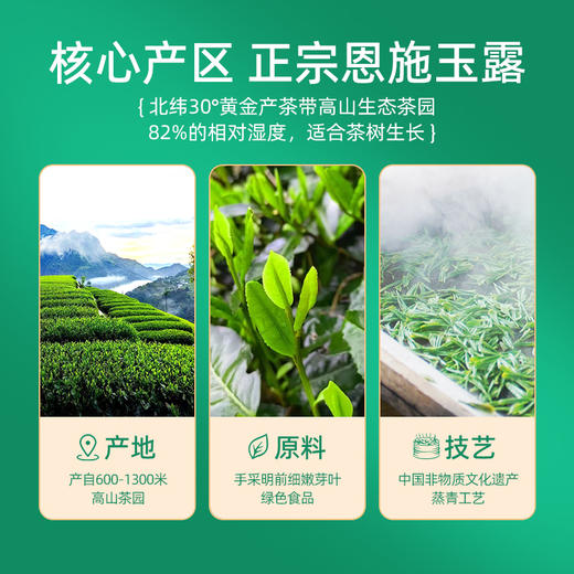 【2025新茶】茶马世家一级恩施玉露罐装70g 商品图1