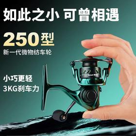 凯登司微物纺车轮路亚竿专用小号鱼线轮迷你纺车轮斜口金属线杯