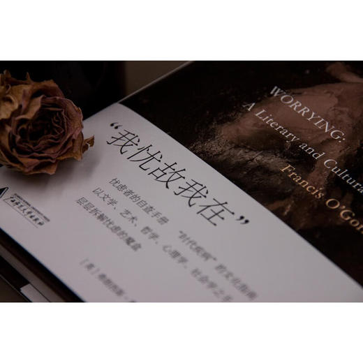 新民说·忧虑：一段文学与文化史（忧虑者的自查手册，“时代疾病”的文化指南） 商品图8