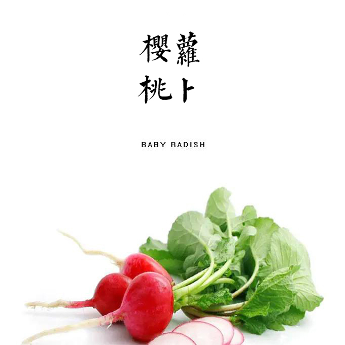 樱桃萝卜  500g（表皮有虫咬痕迹）