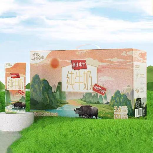 皇氏水牛纯牛奶 200ml*12盒/箱 商品图5