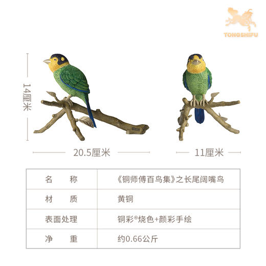 铜师傅《铜师傅百鸟集》之长尾阔嘴鸟 客厅桌面铜摆件 工艺品 商品图5