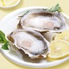 MM 山姆 生冻半壳生蚝 1.7kg（生冻半壳生蚝1.4kg+蒜蓉酱 100g*3） 商品缩略图3