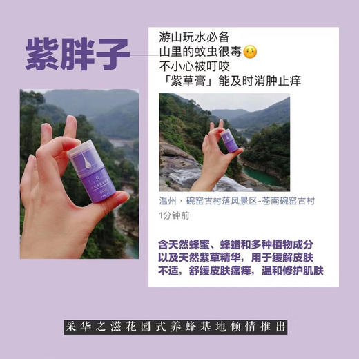 采华之滋天然蜂蜜紫草膏（小紫胖）4.5g 商品图8