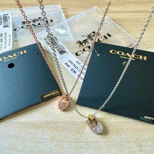 外贸原单 Coach/蔻驰最新款马蹄项链超帅 轻奢不撞款
颜色：玫瑰金 银色
简易包装 商品图8