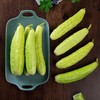 自营（农产品）-牛奶白玉黄瓜 商品缩略图1