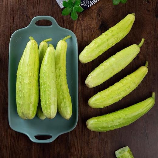 自营（农产品）-牛奶白玉黄瓜 商品图1