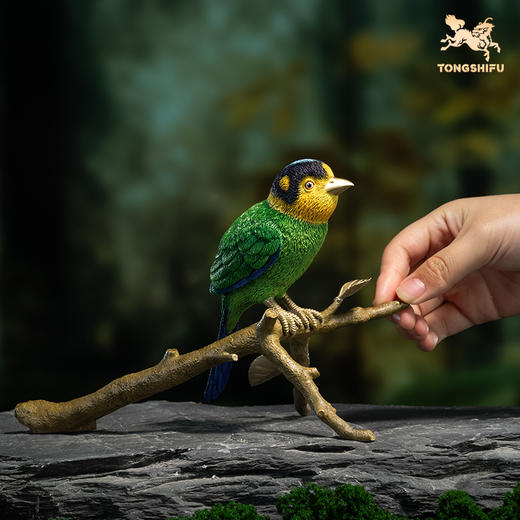 铜师傅《铜师傅百鸟集》之长尾阔嘴鸟 客厅桌面铜摆件 工艺品 商品图4