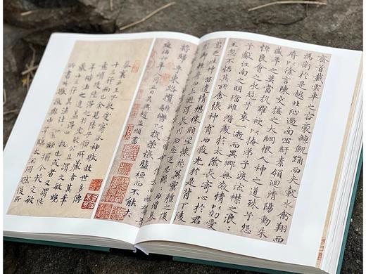 《书画本同 赵孟頫书画题跋集萃》，16开，精装，段奇编著，三联书店2025年4月一版一印，440页，定价398，售价298元。 商品图8