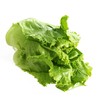 脆生菜 300g 商品缩略图1