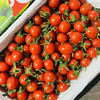釜山88小番茄一盒约2斤礼盒装 减肥必备，补充维生素 果味浓郁【顺带不发快递】 商品缩略图1