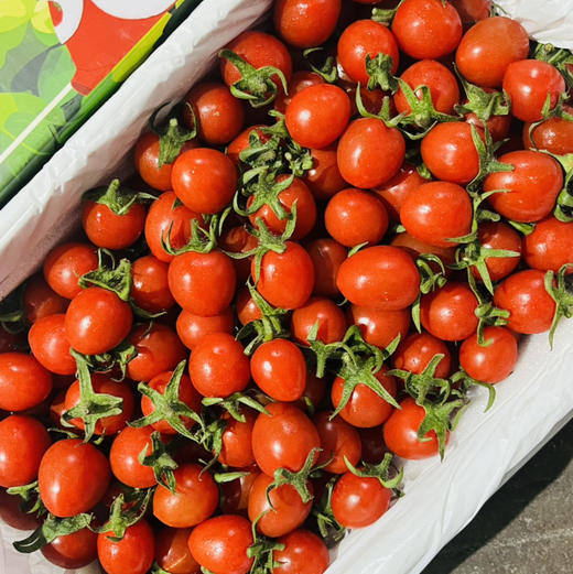 釜山88小番茄一盒约2斤礼盒装 减肥必备，补充维生素 果味浓郁【顺带不发快递】 商品图1