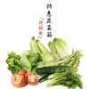 十八周蔬菜包-升级款 商品缩略图0