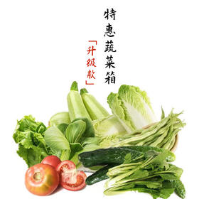十八周蔬菜包-升级款