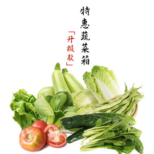 十八周蔬菜包-升级款 商品图0