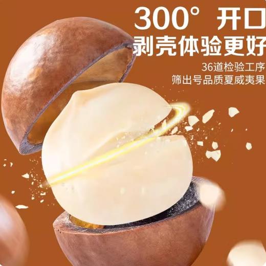 湖北襄阳保康县南河源夏威夷果250g/罐 商品图2