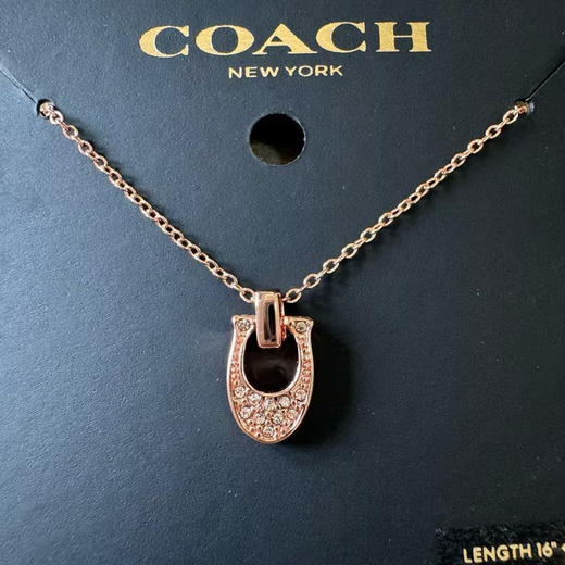 外贸原单 Coach/蔻驰最新款马蹄项链超帅 轻奢不撞款
颜色：玫瑰金 银色
简易包装 商品图9