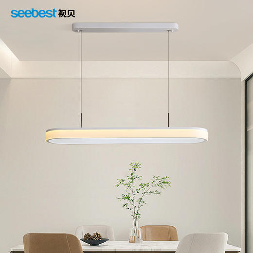 拾光系列-客厅灯/餐吊灯-支持视贝智家 商品图3