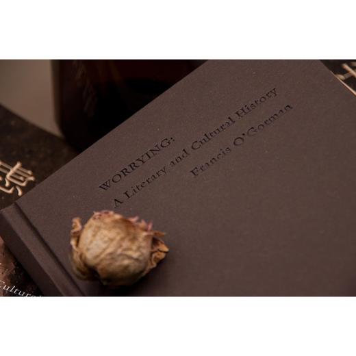 新民说·忧虑：一段文学与文化史（忧虑者的自查手册，“时代疾病”的文化指南） 商品图4