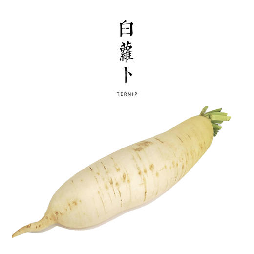 白萝卜5斤包邮装 商品图1