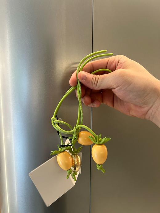 中性款番茄藤挂件 商品图0