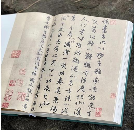 《书画本同 赵孟頫书画题跋集萃》，16开，精装，段奇编著，三联书店2025年4月一版一印，440页，定价398，售价298元。 商品图10