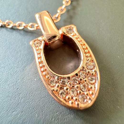 外贸原单 Coach/蔻驰最新款马蹄项链超帅 轻奢不撞款
颜色：玫瑰金 银色
简易包装 商品图3