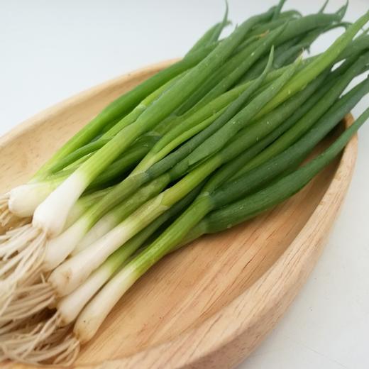 小葱  200g 商品图1