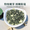 2025新茶精品茉莉花茶特级浓香型嫩芽200g花茶泥巴哥 商品缩略图1