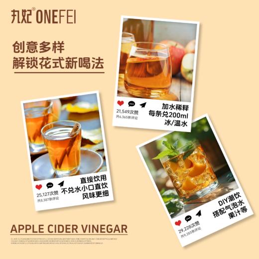 丸妃富硒肉桂原浆苹果醋0糖浓缩发酵饮料286ml/盒 商品图1