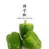 柿子椒  500g 商品缩略图0
