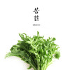 苦苣 300g 商品缩略图0