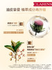 CLARINS娇韵诗 油皮双萃精华液 商品缩略图4