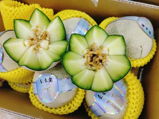 春春网纹蜜瓜一个 商品图1