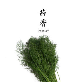 茴香     300g