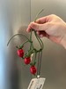 中性款番茄藤挂件 商品缩略图0