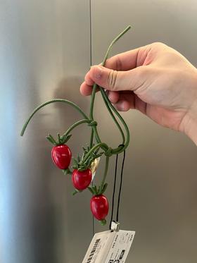 中性款番茄藤挂件