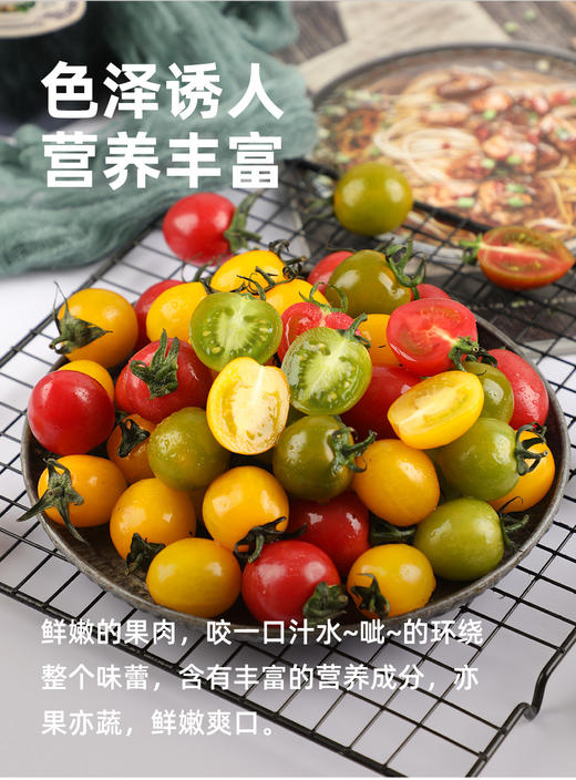自营（农产品）-三色小番茄 圣女果贝贝+夏日阳光+青口蜜，现摘先发三色三味  商品图1