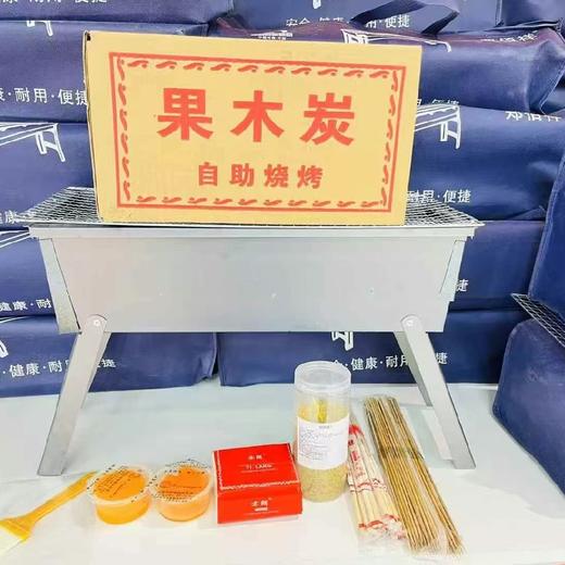 烧烤架可折叠+果木炭+烧烤签等大套装 商品图0