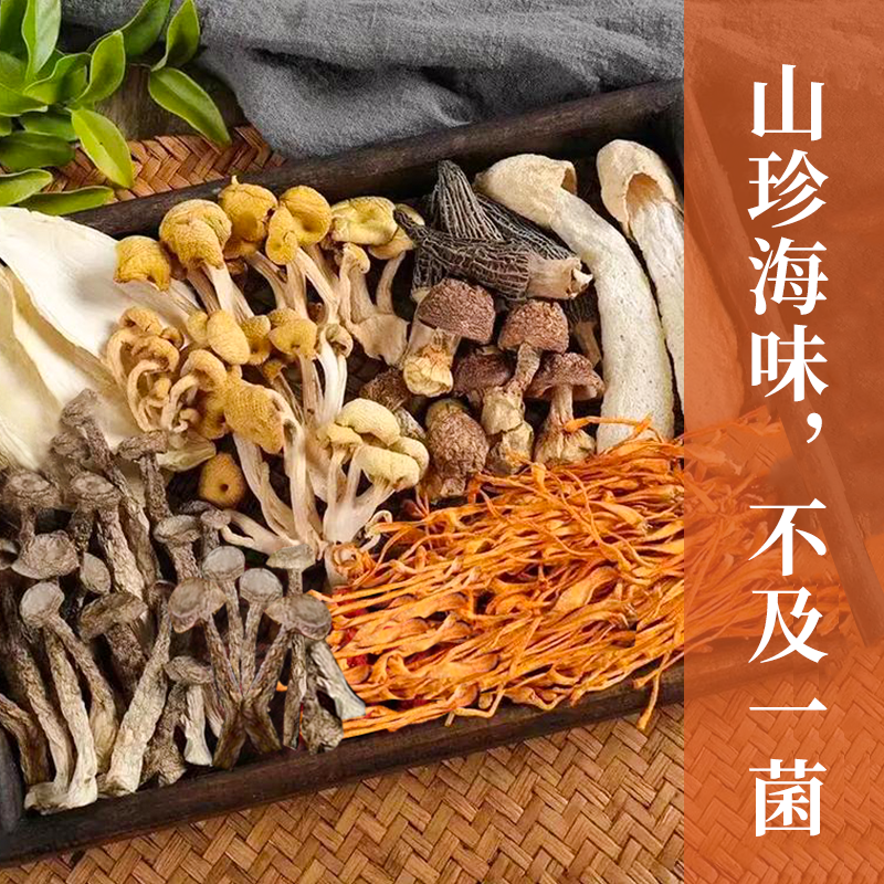 云南菌菇礼盒 精选7种山珍 过节送礼  走亲访友  伴手礼佳品（白松茸40g，蛹虫草65g，鹿茸菇55g，鸡油菌35g，雪山松茸片55g，姬松茸70g，羊肚菌30g）