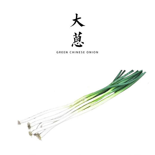 大葱 500g 商品图0