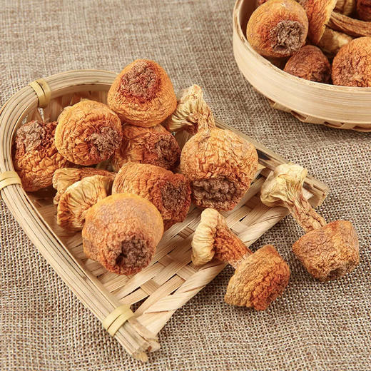 广东湛江廉心姬松茸208g/袋 商品图2