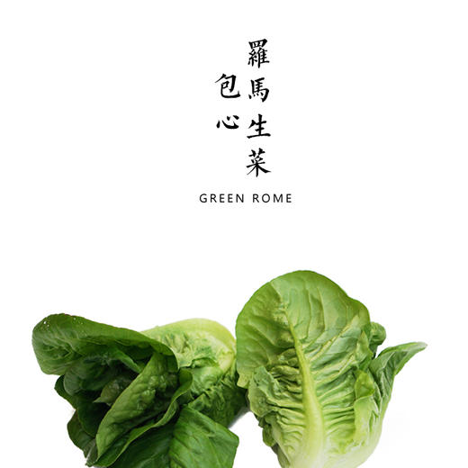包心罗马生 300g 商品图0