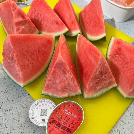 赤霞甘美4K无籽西瓜  好吃的甘美西瓜 商品图0